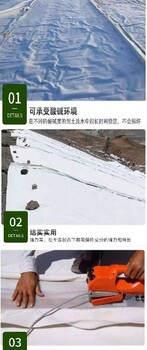 平谷阻燃無紡土工布營養(yǎng)植草養(yǎng)生土工布