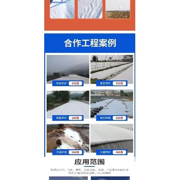 寶坻防水無紡土工布營養(yǎng)植草養(yǎng)生土工布