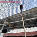崇明高流動(dòng)性高純氧化鈣飼料添加劑