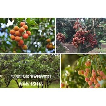 梁平私有果樹價(jià)值評(píng)估梨果樹價(jià)值評(píng)估聯(lián)系方式