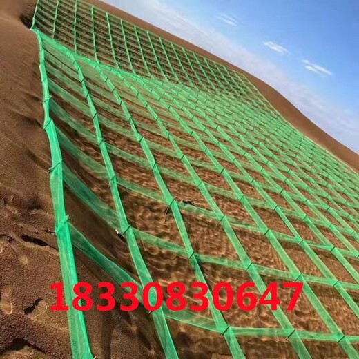 神農架新款防風固沙網,上梳下密蜂窩狀固沙網報價