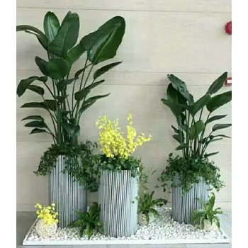 沈陽(yáng)售樓處生態(tài)綠植墻服務(wù)