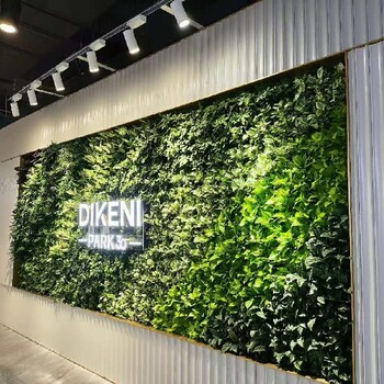 柳州市墻面綠植案例