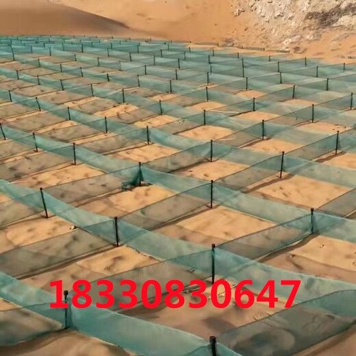 呼和浩特新款防沙網,高密度聚乙烯防沙網供應商