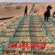 防風固沙網(wǎng)圖