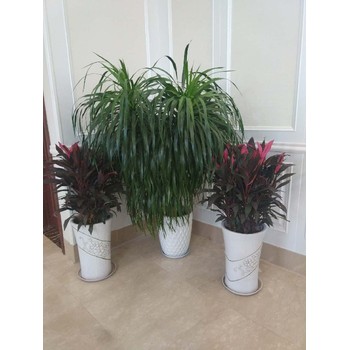 沈陽(yáng)和平區生態(tài)綠植墻哪家好