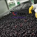 液壓壓榨機果汁加工設(shè)備/生產(chǎn)線