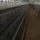 宿州養雞場拆遷征收評估方案圖