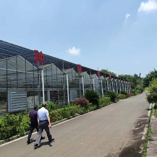 滁州含量無憂檢測GAP服務
