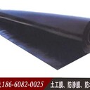 益陽(yáng)土工膜生產(chǎn)公司益陽(yáng)hdpe土工膜