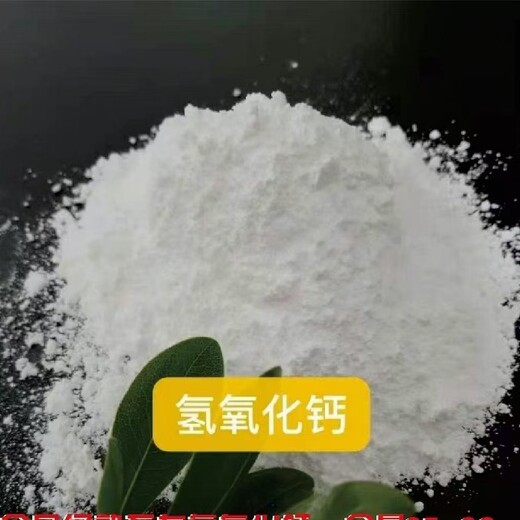 舟山6000目细度氢氧化钙批发消石灰