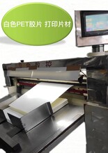 印刷PET膠片白色PET片材卷材乳白色PET薄膜塑料膠片圖片
