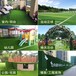 綿陽運動休閑草坪，廣元運動休閑草坪，達州運動休閑草坪