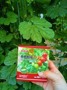 廠家粉虱溱殺卵粉虱2+1白粉虱前打后落內(nèi)吸殺卵組合