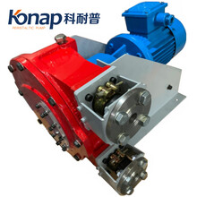 科耐普軟管泵廠家銷售KNP25工業軟管泵價格合理質量優圖片