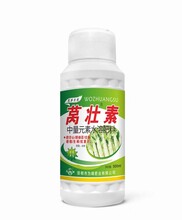 萵壯素萵筍葉面肥為峰肥業萵筍控旺增粗膨大素