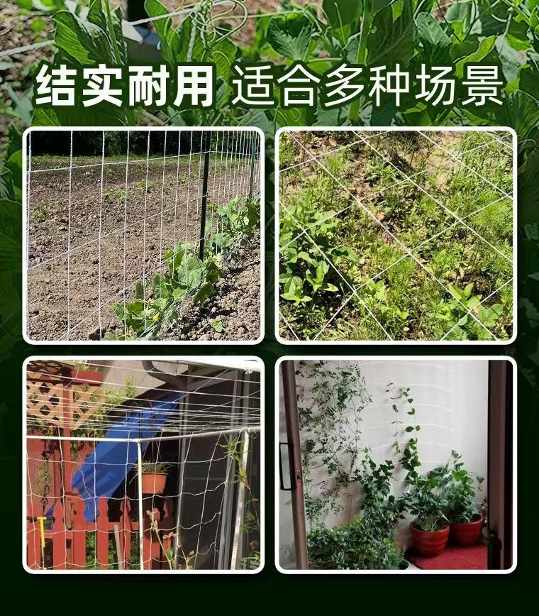 植物搭架网