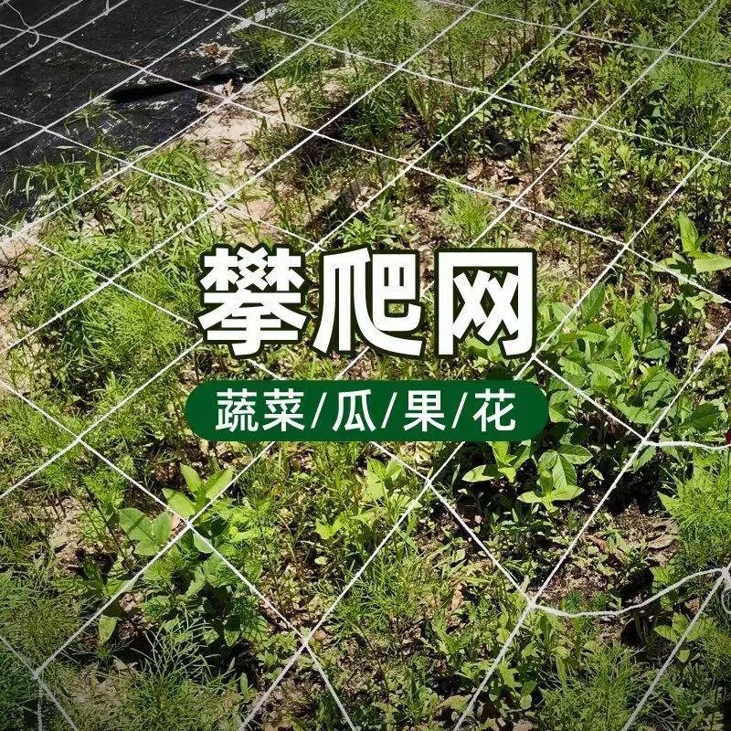 百香果攀爬网