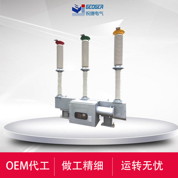 LW-60-66-72.5-126/3150-40戶外六氟化硫斷路器祝捷電氣