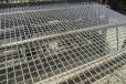 3米井下支护编织网片镀锌养殖方格筛网不锈钢编织产床网