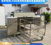 LYGW系列工业模具烘箱中小型模具预热烘箱500℃金属模具烘烤箱