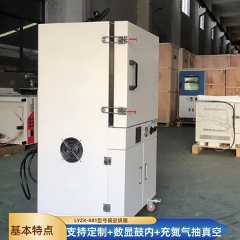 立式真空干燥箱充氮氣真空烘箱鋰電行業(yè)真空烘烤箱