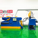 重慶鱷魚剪切機金屬剪切機