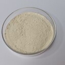 宏久生物現貨供應人參粉食品級免費樣品黃白色粉末