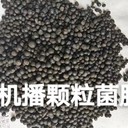 果树微生物菌剂底肥药材微生物菌剂花椒微生物菌剂大田底肥