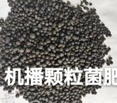 氨基酸颗粒微生物菌剂水分2%机播颗粒微生物菌剂