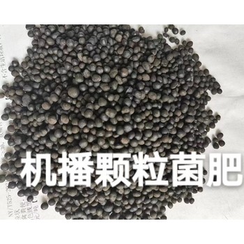 氨基酸顆粒微生物菌劑水分2%機(jī)播顆粒微生物菌劑