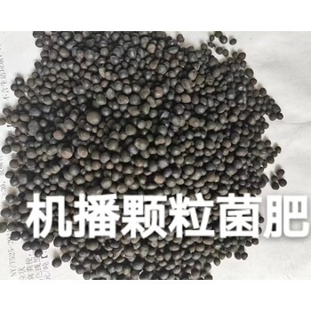 氨基酸颗粒微生物菌剂水分2%机播颗粒微生物菌剂