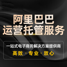 托管阿里巴巴国际站代运营1688代运营诚信通店铺装修设计店铺托管