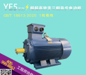 YE5系列三相异步电动机YE5-250M-4-55KW卧式马达400V