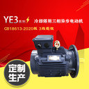 冷卻塔電動機18.5kw立式電機Y2PF200L2-6防水馬達