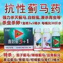 薊馬藥鑫封薊3+1蟲(chóng)卵雙殺薊馬殺蟲(chóng)劑讓害蟲(chóng)無(wú)處遁形的魔法藥劑