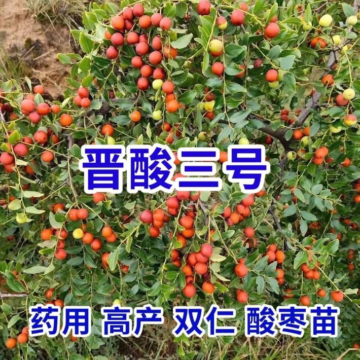 圖片_21.jpg