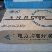 上海電力PP-TIG-A30L焊絲A30L不銹鋼鎢極氬弧焊絲圖片