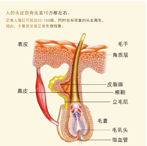 1710311097529.png