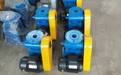  Fujian screw hoist Sanming manual hoist