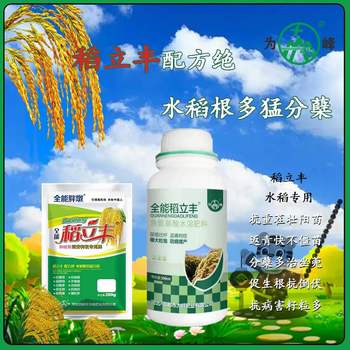 水稻用什么肥料不坐蔸不僵苗，為峰肥業稻立豐發蔸快發蔸靈效果好