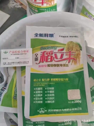 水稻返青分蘗用什么柯杈肥效果好？為峰肥業(yè)稻立豐發(fā)蔸快發(fā)蔸靈