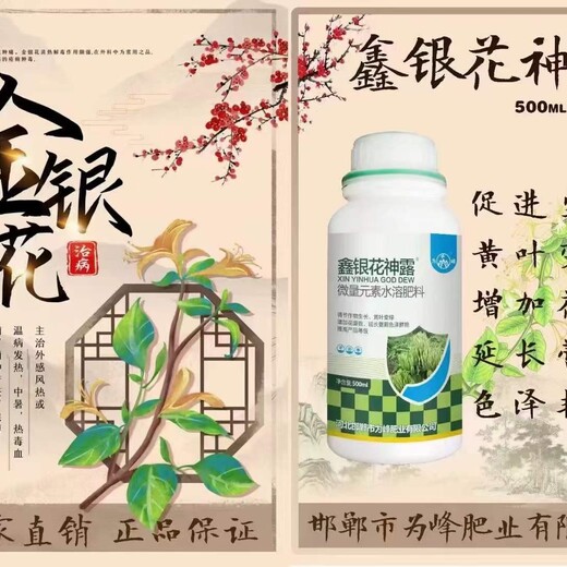 金银花用什么肥料能延长蕾期推迟开花，银花神露促花芽分化花蕾多