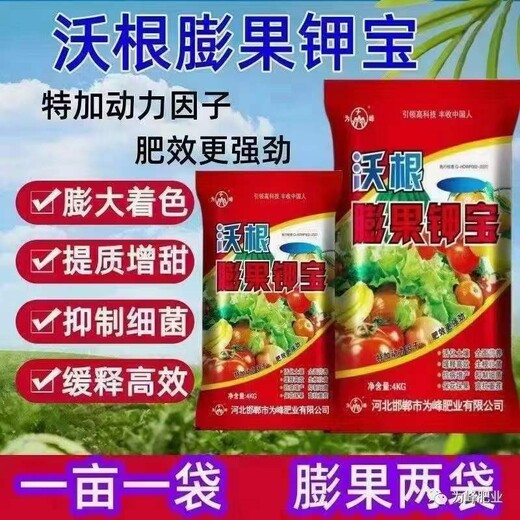 沃根膨果鉀寶廠家招商，為峰肥業(yè)膨大增產(chǎn)水溶肥