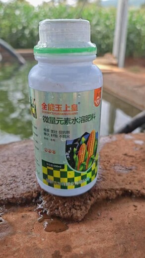 邯鄲市為峰肥業(yè)玉上黃-玉米金大棒玉米增產(chǎn)葉面肥廠(chǎng)家
