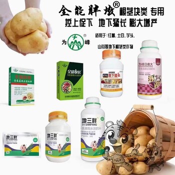 為峰肥業(yè)地三胖-地下根莖作物控旺膨大增產(chǎn)葉面肥廠家