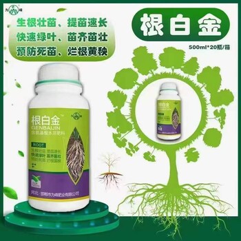 生根壯苗生根劑-為峰肥業(yè)根白金生根養(yǎng)根護根效果好