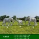 圖片_20230920160819.jpg