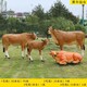 圖片_20211126105424.jpg