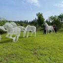 不銹鋼絲馬雕塑，鏤空造型，手工編織